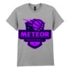 Adult t-shirt Heavy Cotton Thumbnail