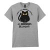 Adult t-shirt Heavy Cotton Thumbnail