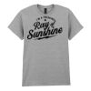 Adult t-shirt Heavy Cotton Thumbnail