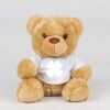 Bear in a t-shirt Thumbnail